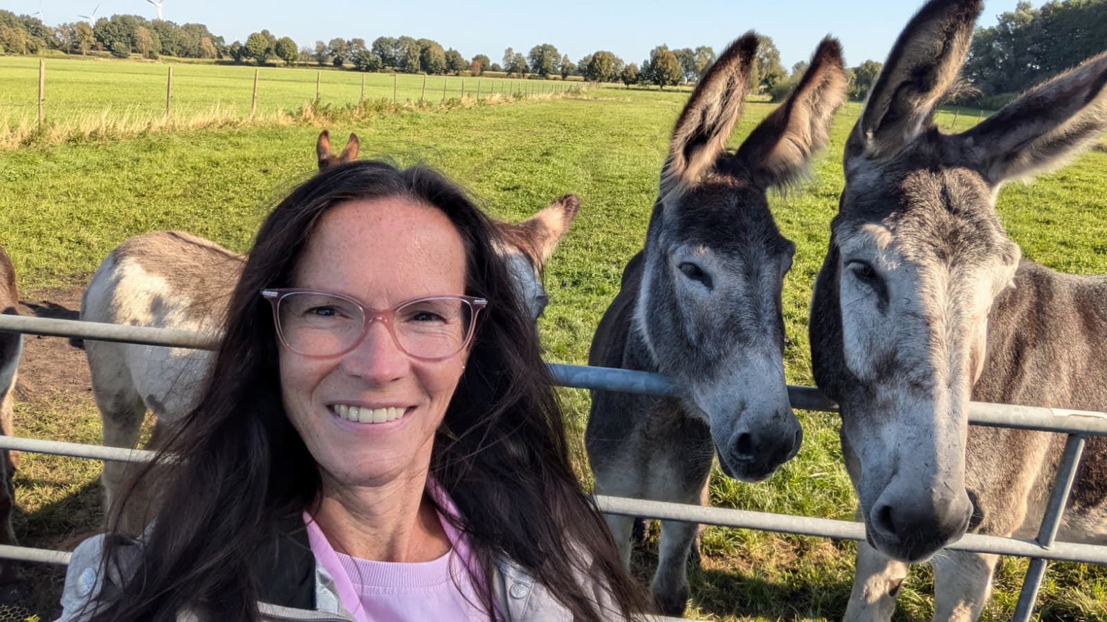 Claudia K. Butzelkinder Kindertagespflege Esel